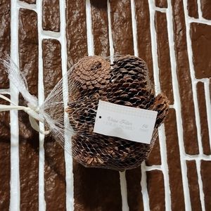 Pine cone vase filler